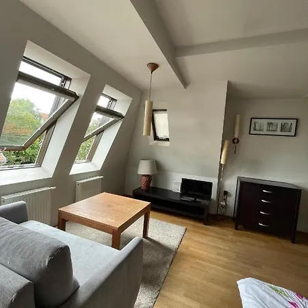 Słoneczna Kawalerka Apartament